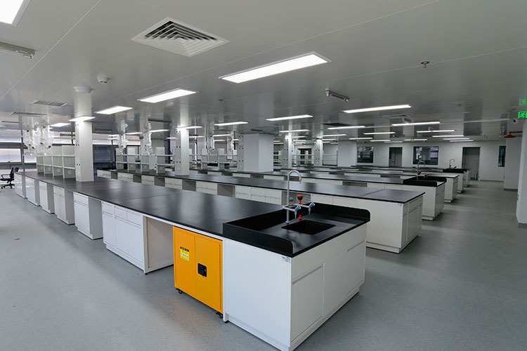 1656410106178611.jpg 基因實驗臺.jpg